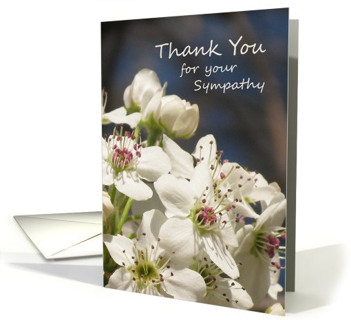 Sympathy Thank You Card -- White Spring Blossoms card (785708)
