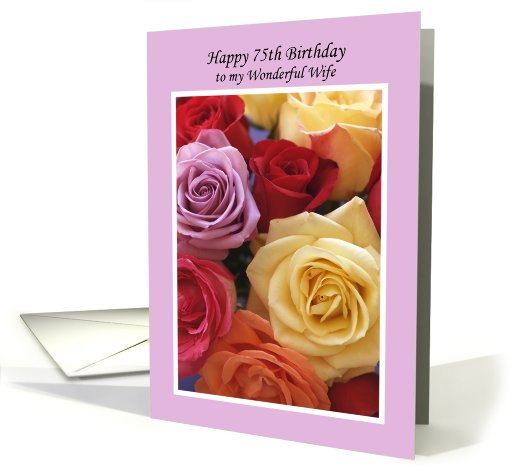75th Birthday Card for Wife card (789777)