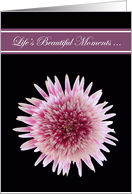 Will you be my Bridesmaid Invitations Cards -- Gorgeous Gerbera card