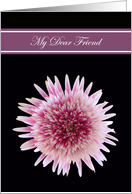 Friend Will you be my Bridesmaid Invitations Cards -- Gorgeous Gerbera card