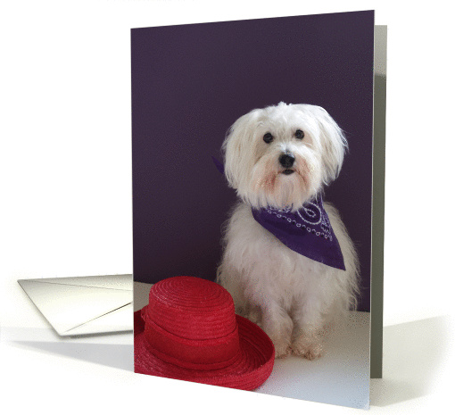 Red Hat Get Well card (82708)