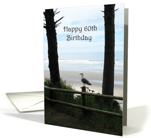 Seagull on Seashore 60th Birthday card (839362)