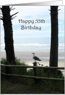Seagull on Seashore 55th Birthday Card