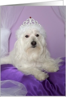 Birthday Card for Granddaughter -- Princess Dog card