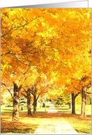 Birthday Card for Brother -- Autumn Trail card