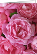 Mothers Day Card -- Antique Roses card