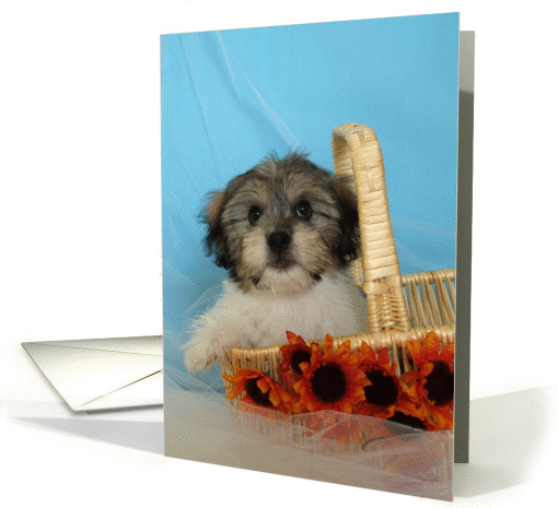 Puppy Birthday Card for Girl card (86545)