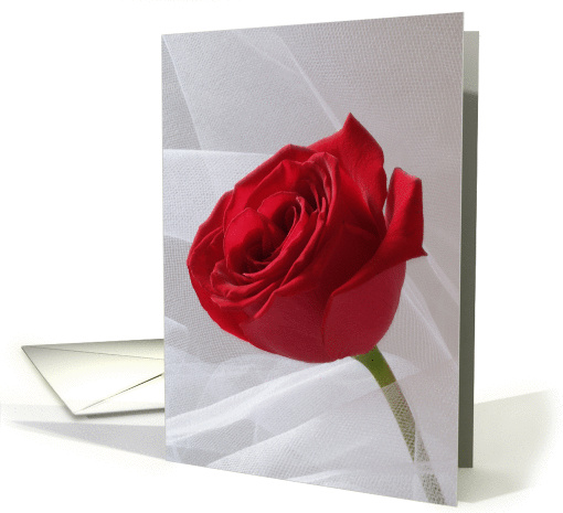 15th Anniversary Card -- Rose card (87188)