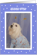 Sleepover Doggie Invitation card