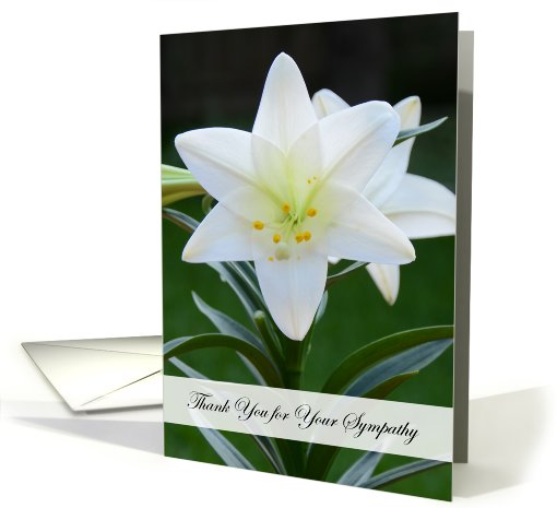 Religious Sympathy Thank You Card -- Lily card (962831)