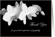 Sympathy Thank You Card -- Orchids card
