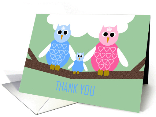 Boy Baby Shower Thank You Poem Card -- Owl Family card (966511)