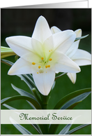 Memorial Service Invitation -- Easter Lily card
