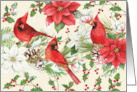 Cardinals in Holly with Poinsettias and Winter Pines with Snow card