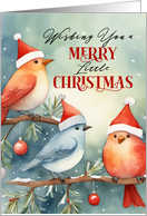 Christmas Birds Whimsical with Hats, Snow, Pines and Ornaments card