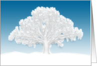 Winter Wonderland card