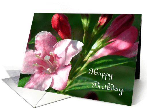 Blossom Birthday card (79050)