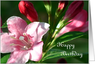 Blossom Birthday Card