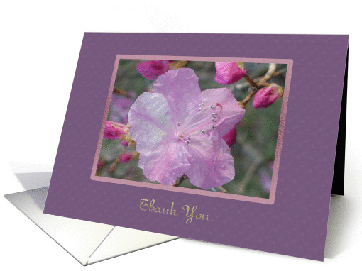 Blossom Thank You card (79077)