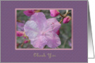 Blossom Thank You Card