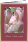 Pink Tulip Anniversary Card