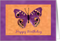 Butterfly Birthday Card