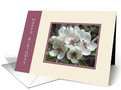 White Blossoms Birthday card (83182)