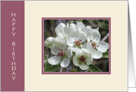 White Blossoms Birthday Card