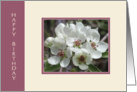 White Blossoms Birthday Card