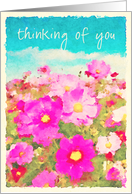 Cosmos Flowers Card