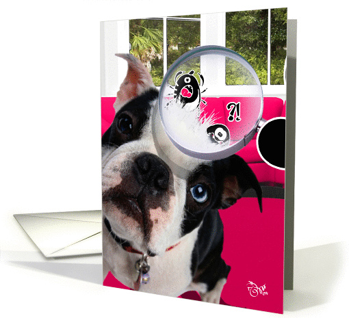 Surprise! card (80817)