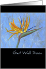 Blue Bird of Paradise Get Well Soon Card