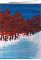 Snow in the Forest Blank Card