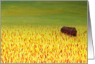 Barn in the Golden Field Thank You Card