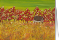 Cottage in the Grass Birthday Card