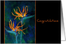 Birds of Paradise Congratulations Card