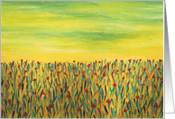 Field of Red Flowers Birthday Card