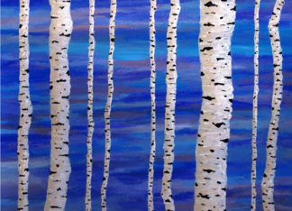 Birch Trees Birthday...