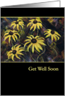 Yellow Flowers Get Well Soon Card