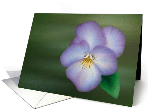 pansy card (121519)