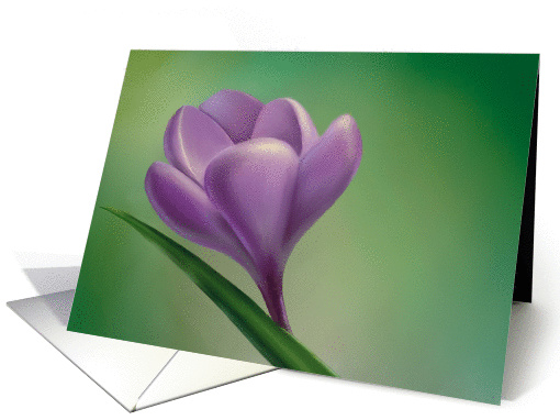 crocus card (121529)