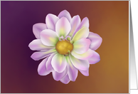dahlia card