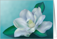 magnolia card