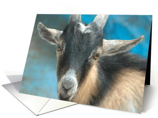 Here's looking at you, kid! card (82072)