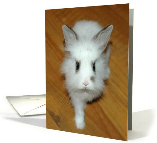 Showing some leg! card (82074)