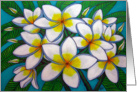 Birthday Card, Frangipani/Plumeria Blooms card