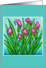 Pink Ladies Calla Lily Card