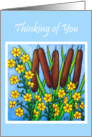 Wild Medley - Thinking of You Card