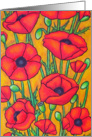 Poppies - Thank You Card