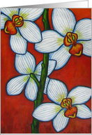 Orchid Oasis Thank-You Card #3 card